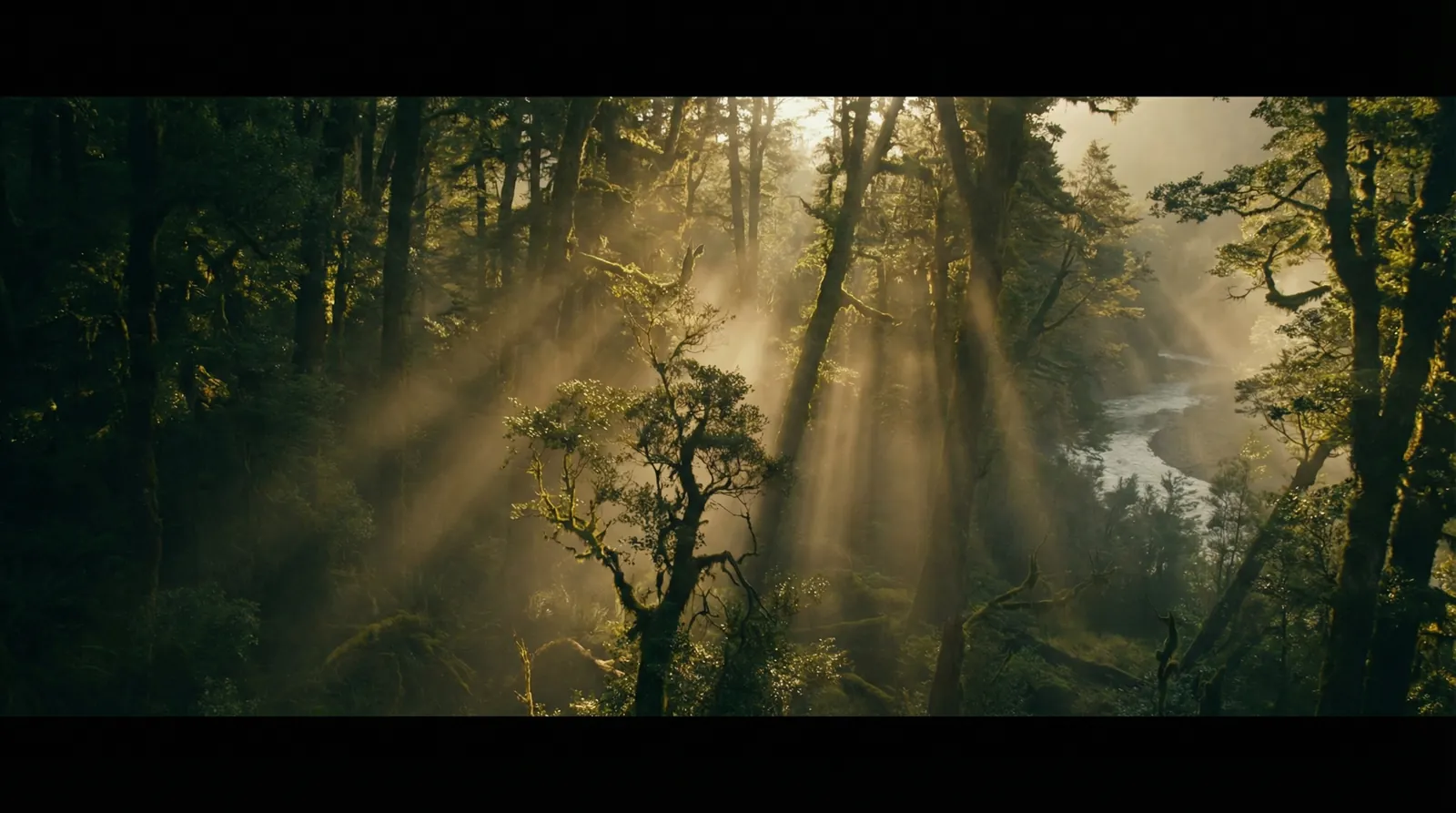 188体育app 自然纪录片风格调色案例